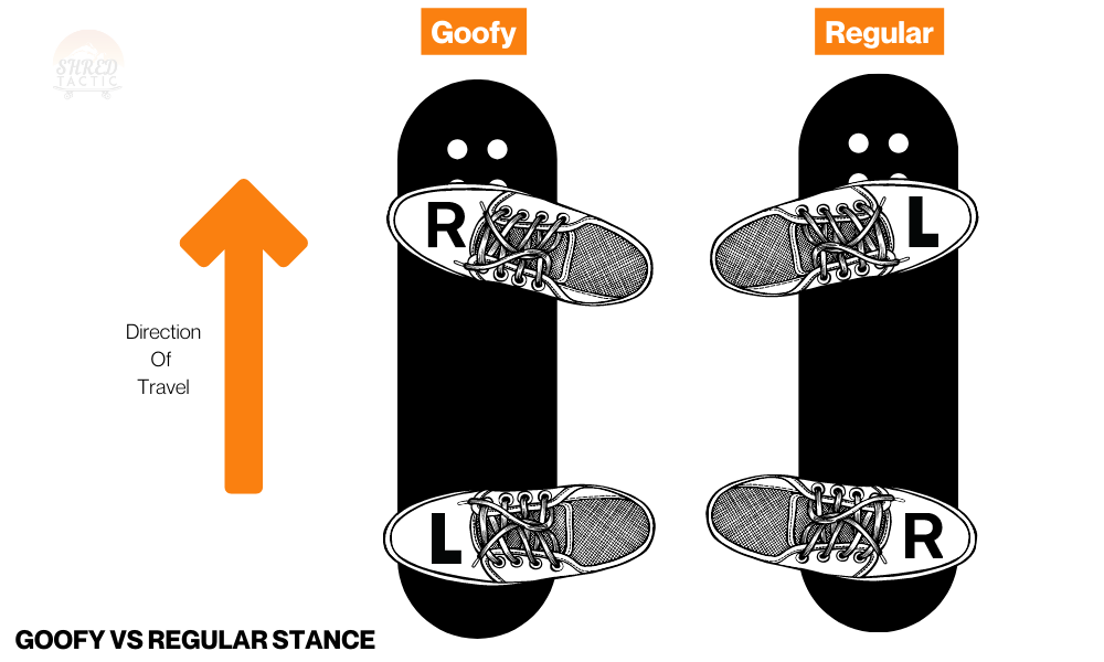 goofy vs regular on skateboard infographic